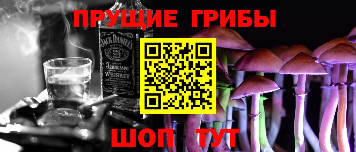 Псилоцибиновые грибы GOLDEN TEACHER  Вход с VPN  Севастополь 